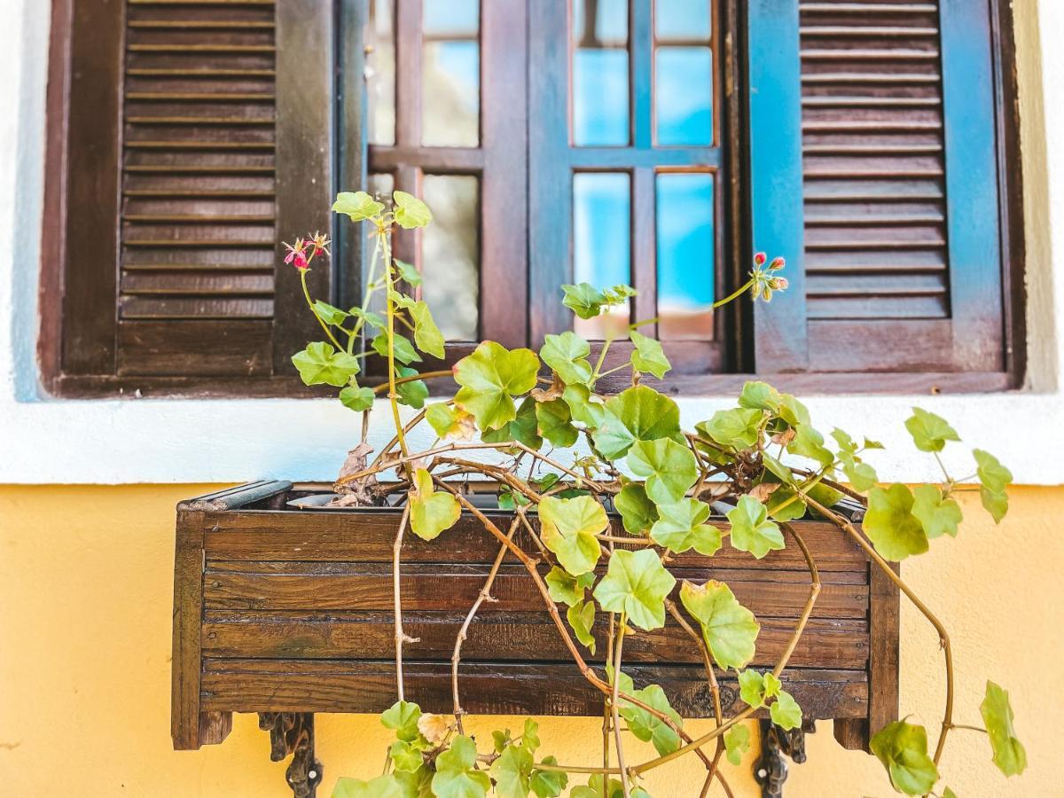 Pousada Flor De Ipe São Bento do Sapucaí Exteriör bild